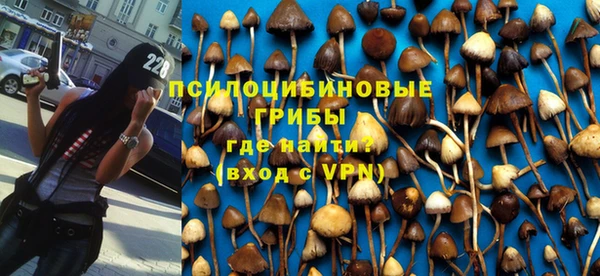 Альфа ПВП Горняк