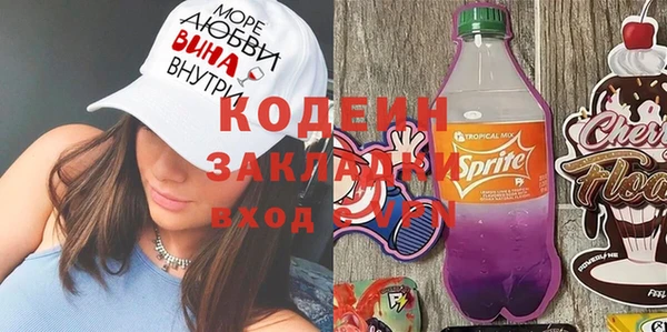 Альфа ПВП Горняк