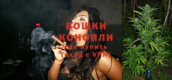 Альфа ПВП Горняк